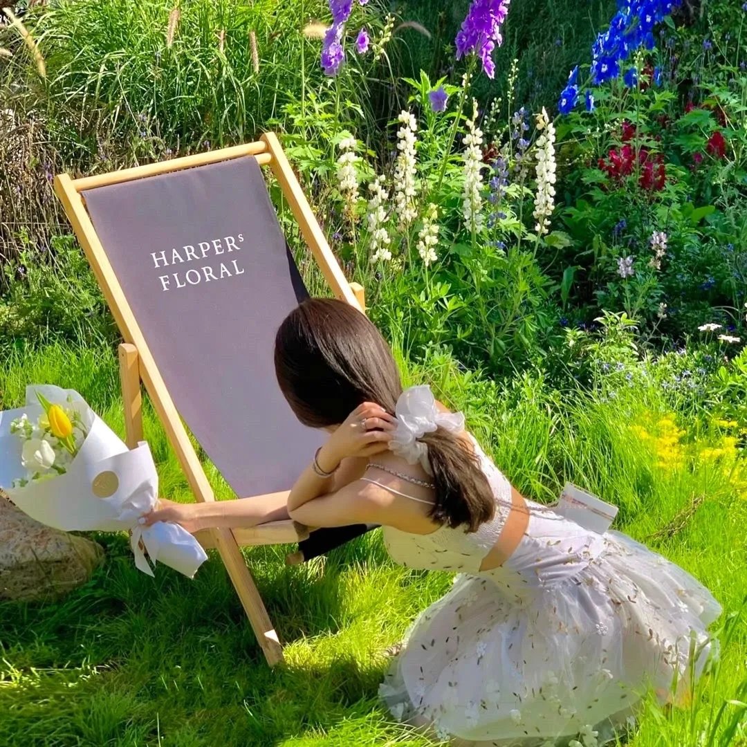 神女为我下凡尘